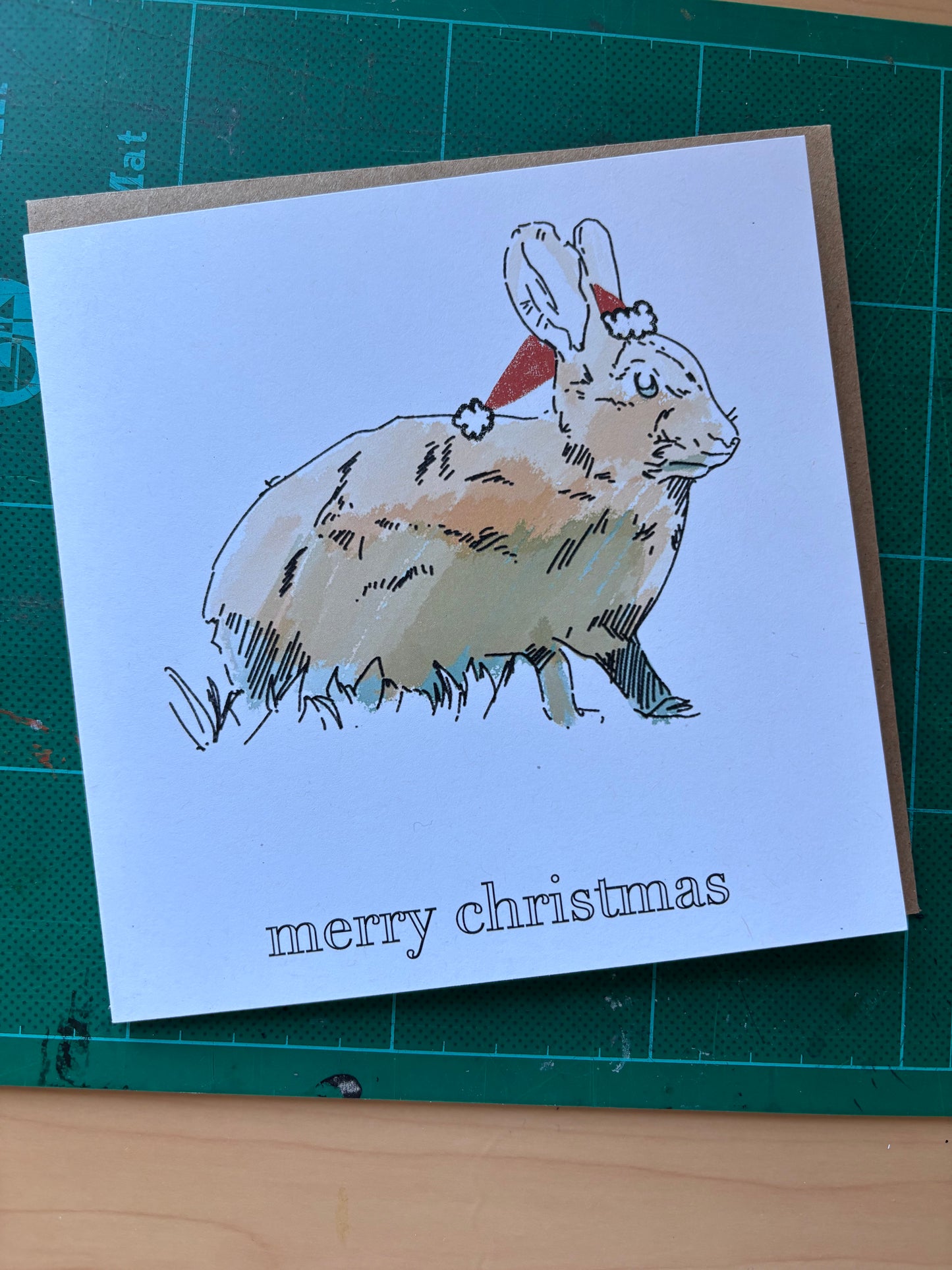 Dundee Animals Christmas Cards