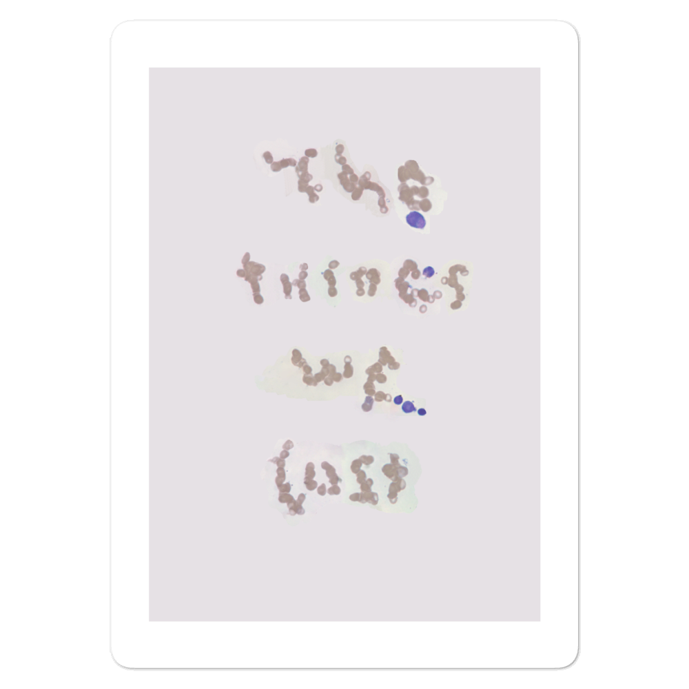 The Things We Lost sticker