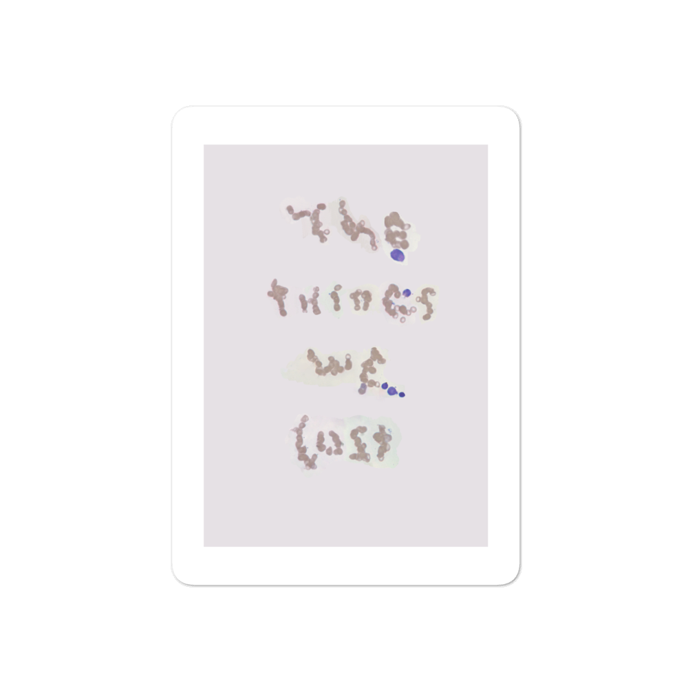 The Things We Lost sticker